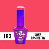 MOLLY LAC ESMALTE SEMIPERMANENTE HEARTS & KISSES N° 193 DARK RASPBERRY 10ML