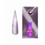 MOLLY LAC ESMALTE SEMIPERMANENTE OJO DE GATO Nº 448 STEEL 5ML