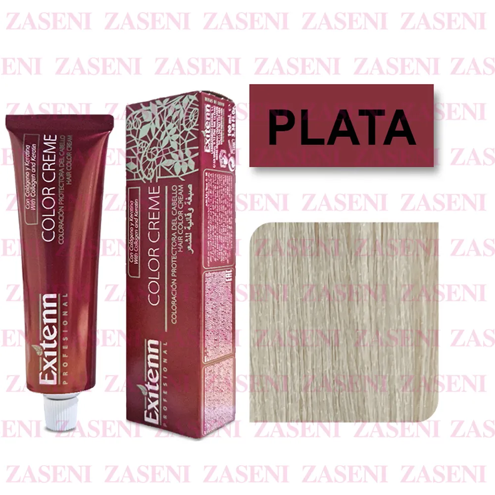 EXITENN TINTE COLOR CREME PLATA 100ML