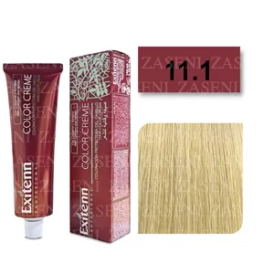 EXITENN TINTE COLOR CREME 11.1 CENIZA BRILLANTE 100ML