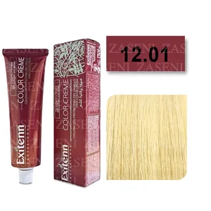 EXITENN TINTE COLOR CREME 12.01 PLATINO RADIANTE 100ML