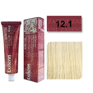 EXITENN TINTE COLOR CREME 12.1 CENIZA PLATINO 100ML