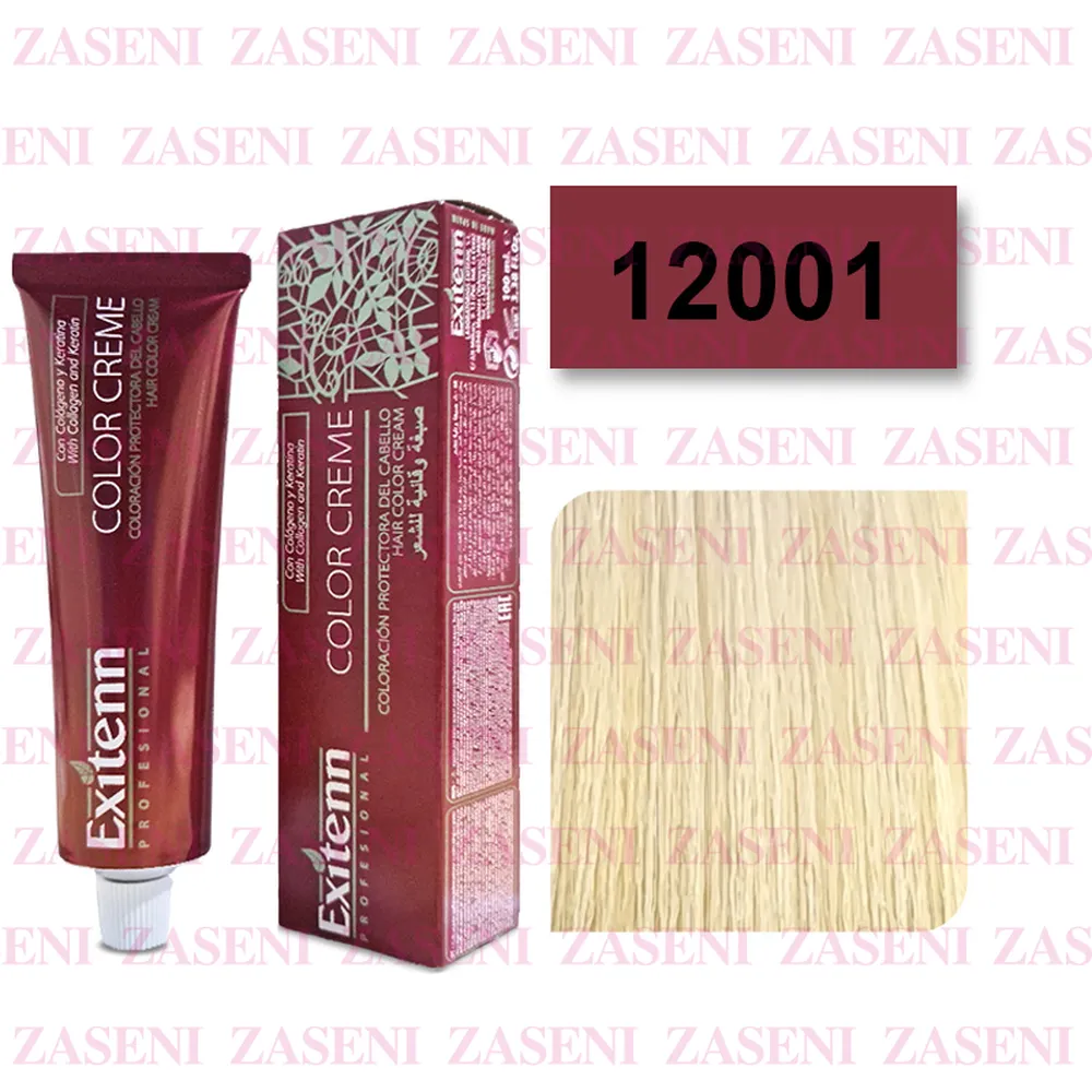 EXITENN TINTE COLOR CREME 12001 PLATA CENIZA 100ML