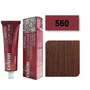 EXITENN TINTE COLOR CREME 560 BORGOÑA 100ML