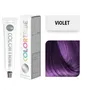 BBCOS TINTE COLORTRIBE VIOLETA 100ML