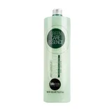 Green Care Essence Champú Anticaspa 1000ml