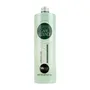 BBCOS GREEN CARE ESSENCE CHAMPÚ ANTIGRASA 1000ML