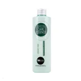 Green Care Essence Champú Antigrasa 250ml