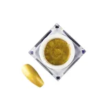 Artistic Gel Hema Free Gold 5ml