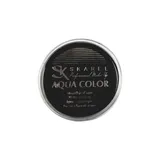 Aqua Color 191/17 Negro 15gr