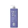 BBCOS EMPHASIS BLOND-TECH EFFECT CHAMPÚ PURPLE BLUE FEEDING 500ML