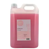 Anea Champú Neutro Fresa 5000ml