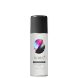 Hair Colour Spray Negro Metálico 125ml