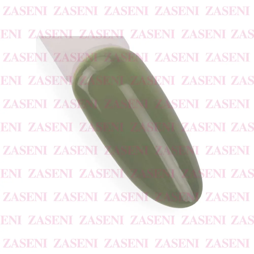 ZASENI