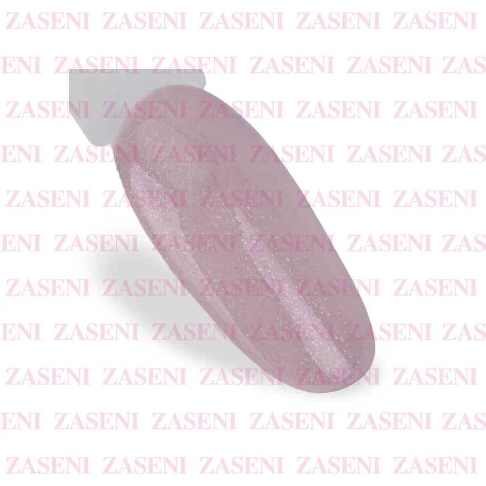 ZASENI