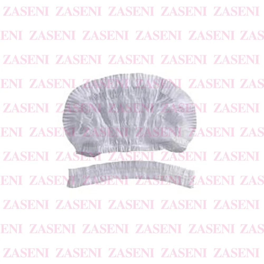 ZASENI