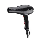 Secador Profesional 280 Birdie 2000W