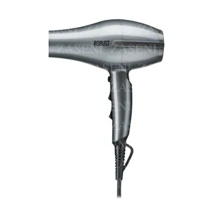 RAGNAR SECADOR PROFESIONAL ROBUST