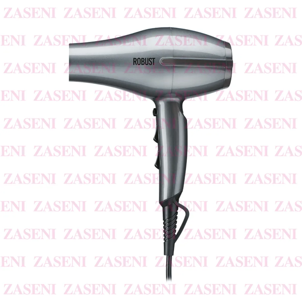 RAGNAR SECADOR PROFESIONAL ROBUST