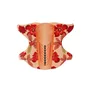 MOLDE ADHESIVO UÑAS ALMENDRA FLORAL 500UDS