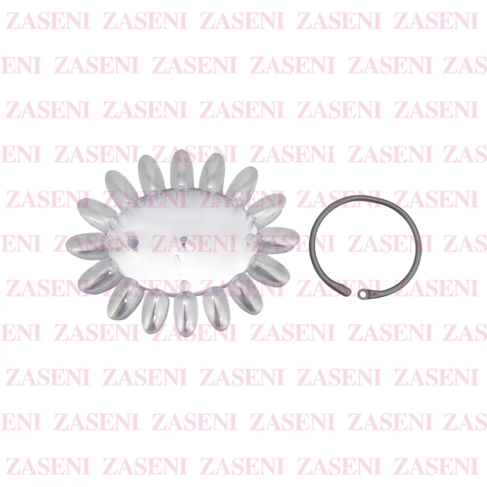 ZASENI
