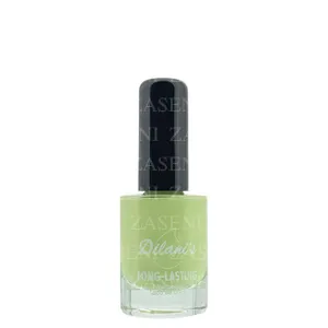DILANI'S LACA DE UÑAS LARGA DURACIÓN Nº 198 10ML