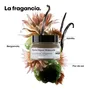 L'ORÉAL SERIE EXPERT ABSOLUT REPAIR MOLECULAR MASCARILLA REPARADORA 250ML
