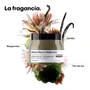 L'ORÉAL SERIE EXPERT ABSOLUT REPAIR MOLECULAR MASCARILLA REPARADORA 500ML