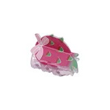 Pinza De Pelo Pitaya