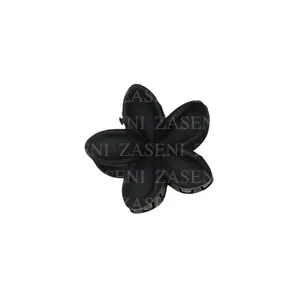 ZASENI