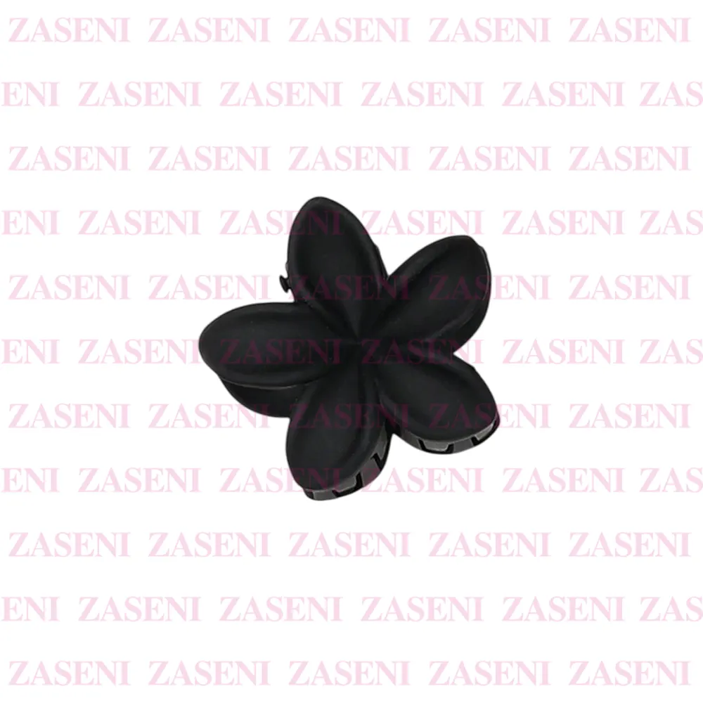 ZASENI