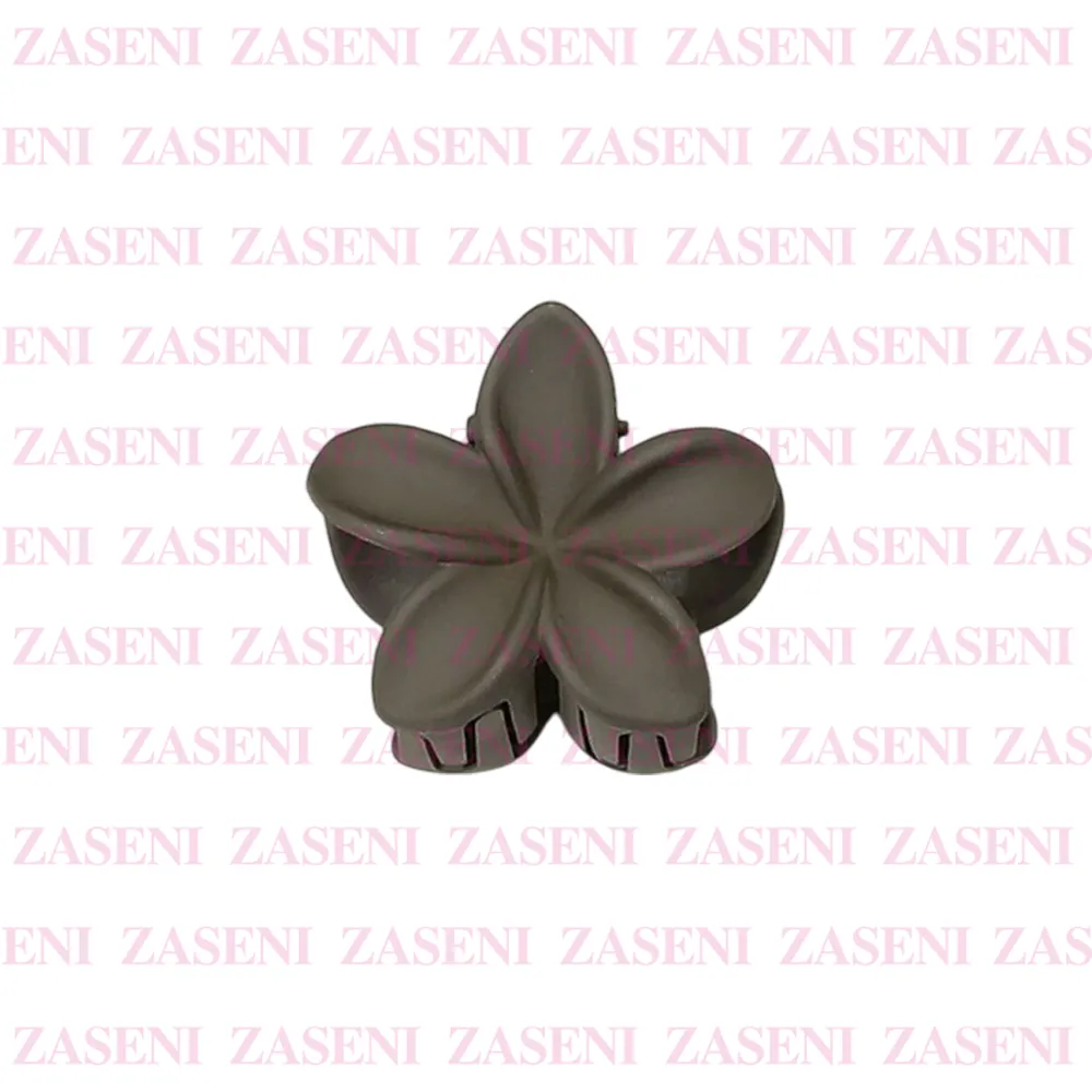 ZASENI
