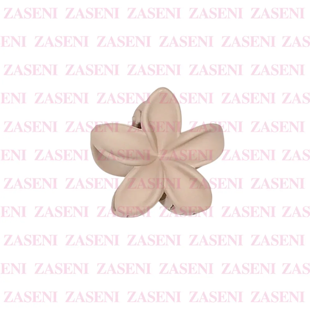 ZASENI