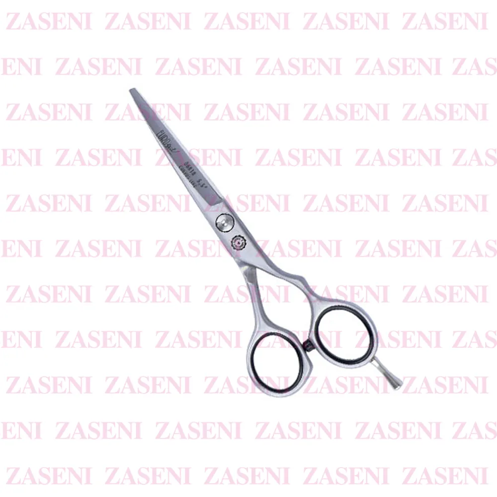 ZASENI