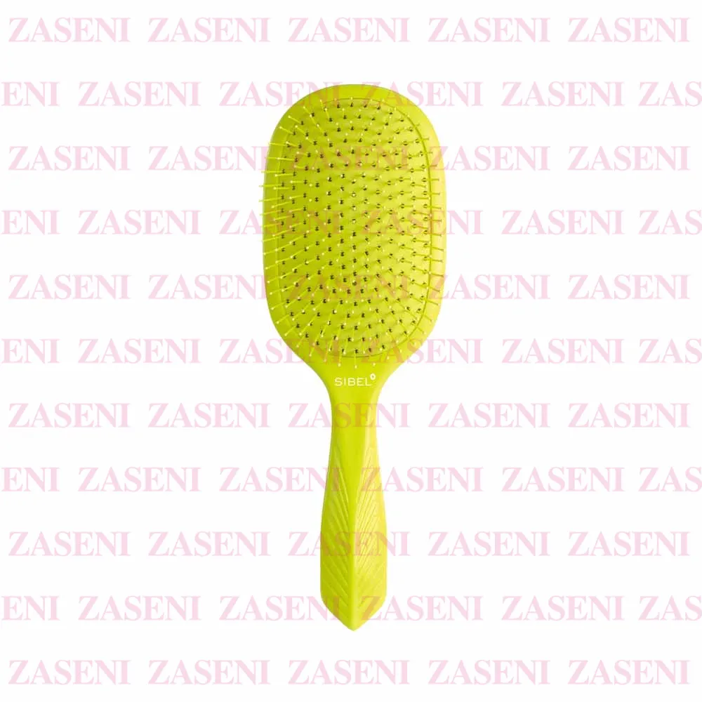 ZASENI