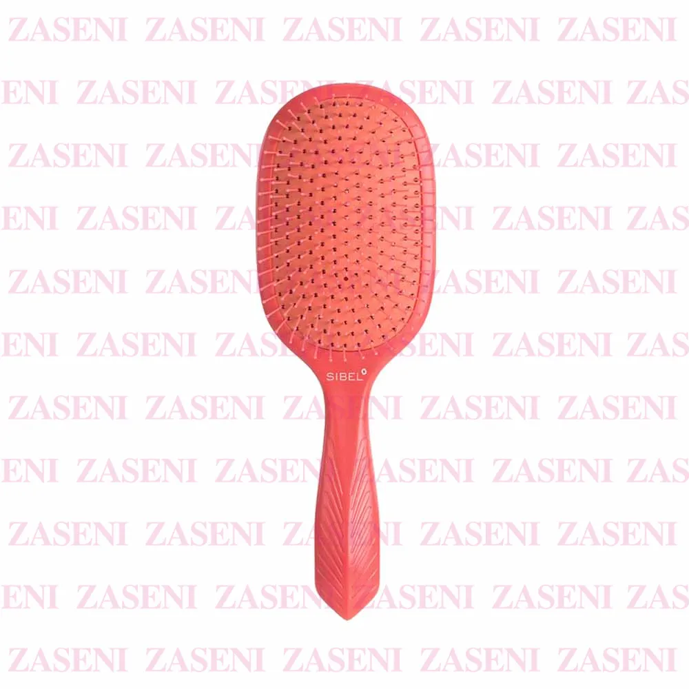 ZASENI
