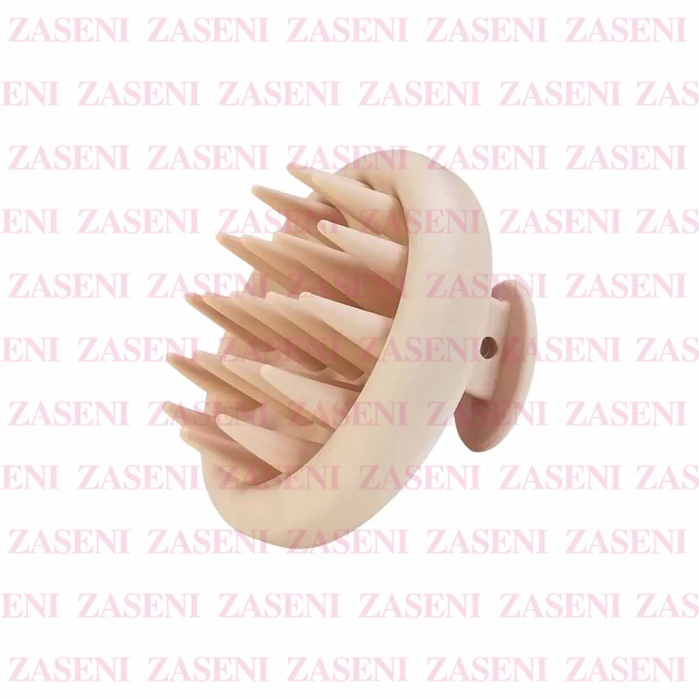 ZASENI