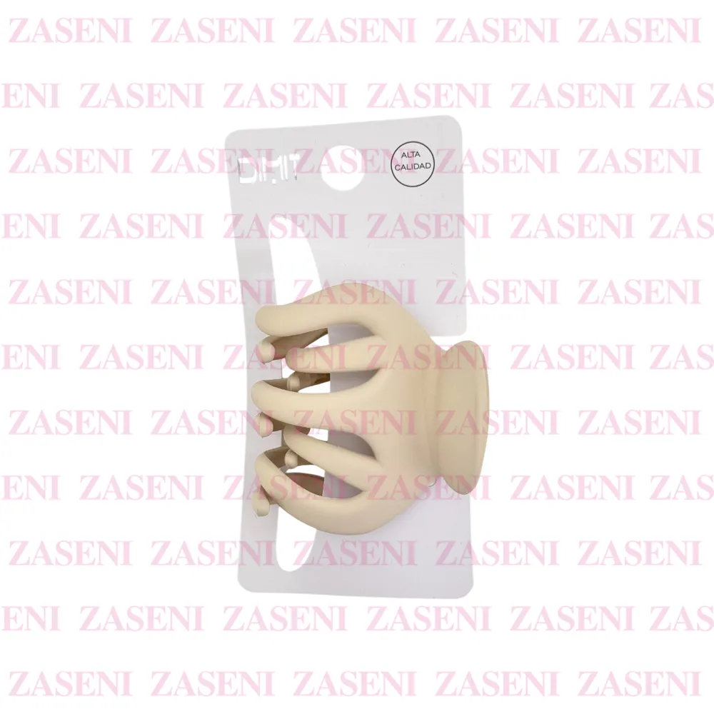 ZASENI