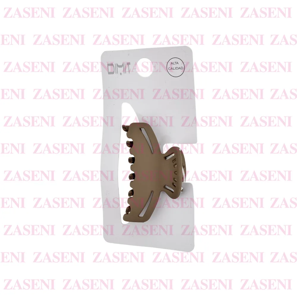 ZASENI