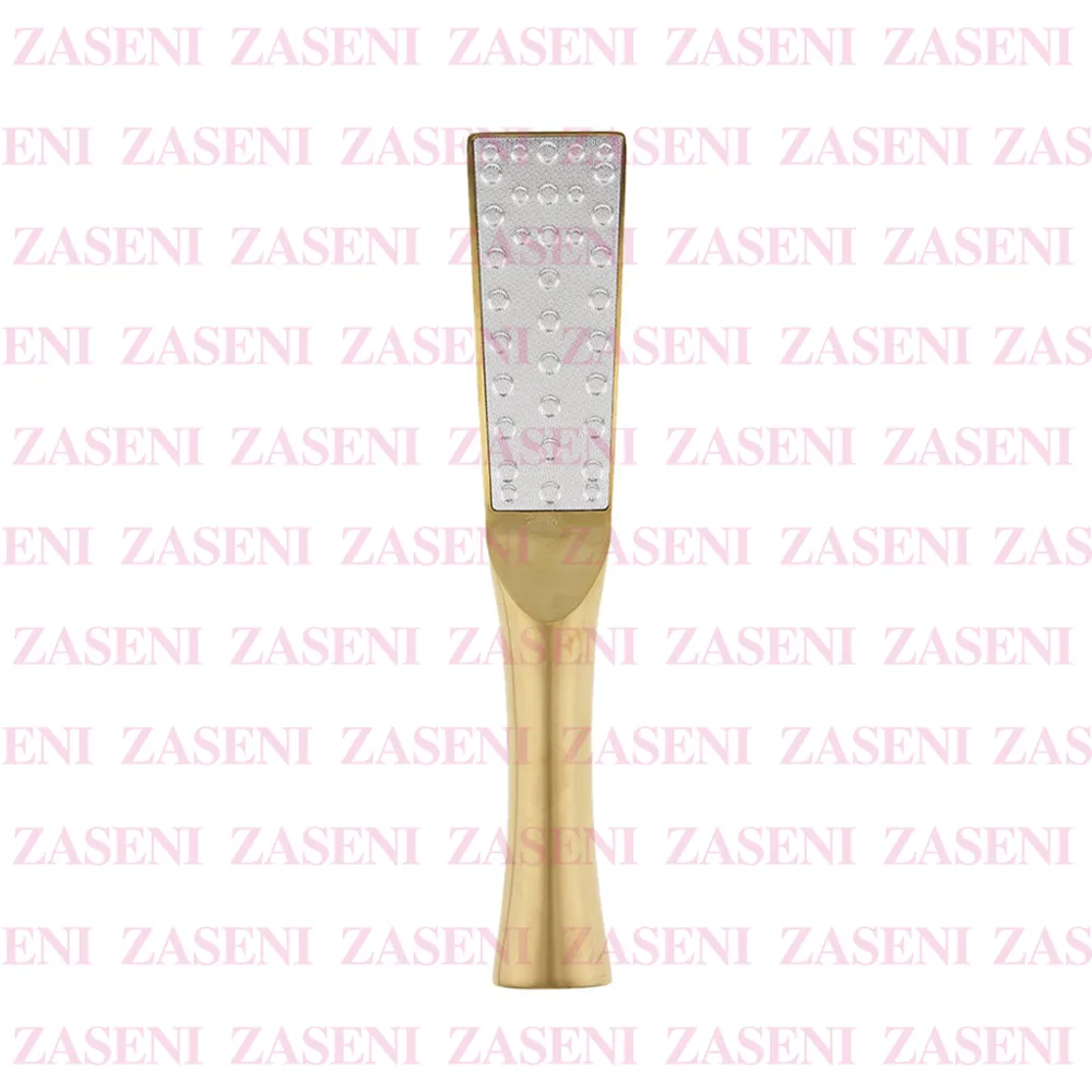 ZASENI