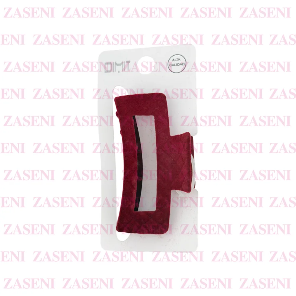 ZASENI
