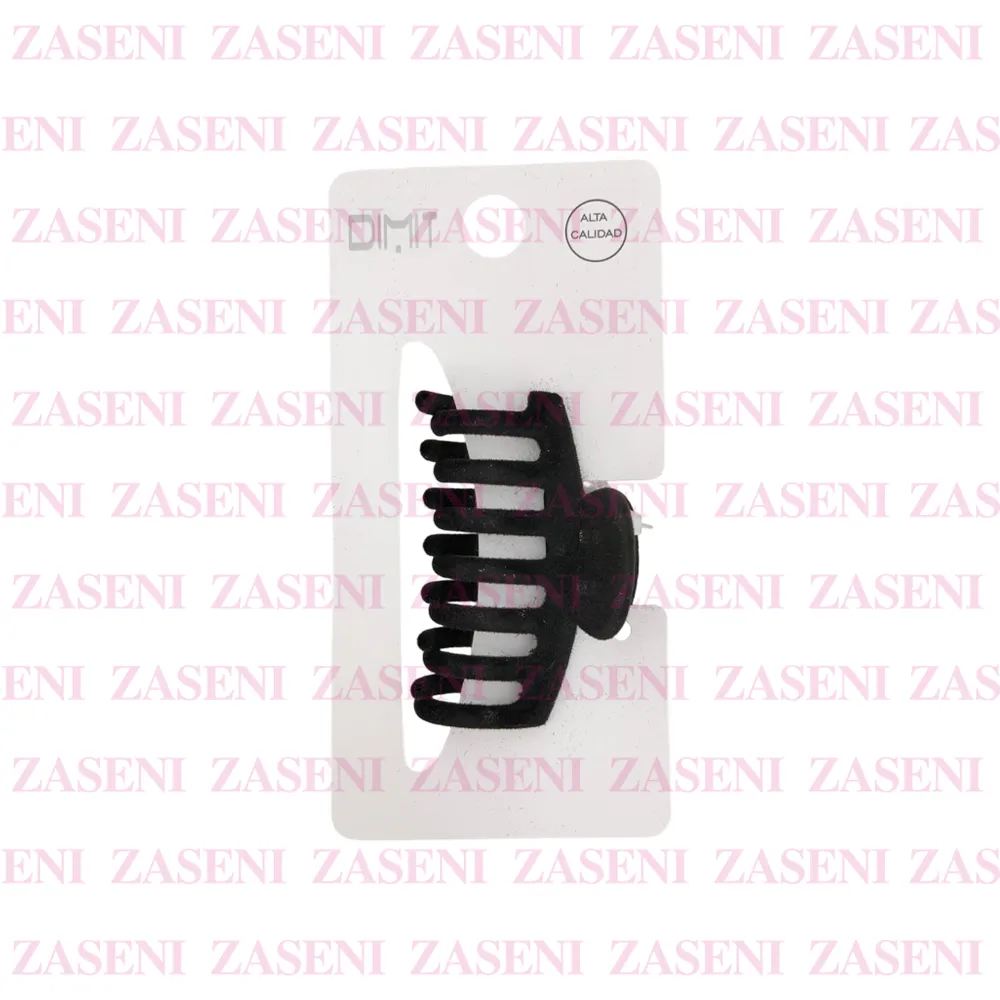 ZASENI