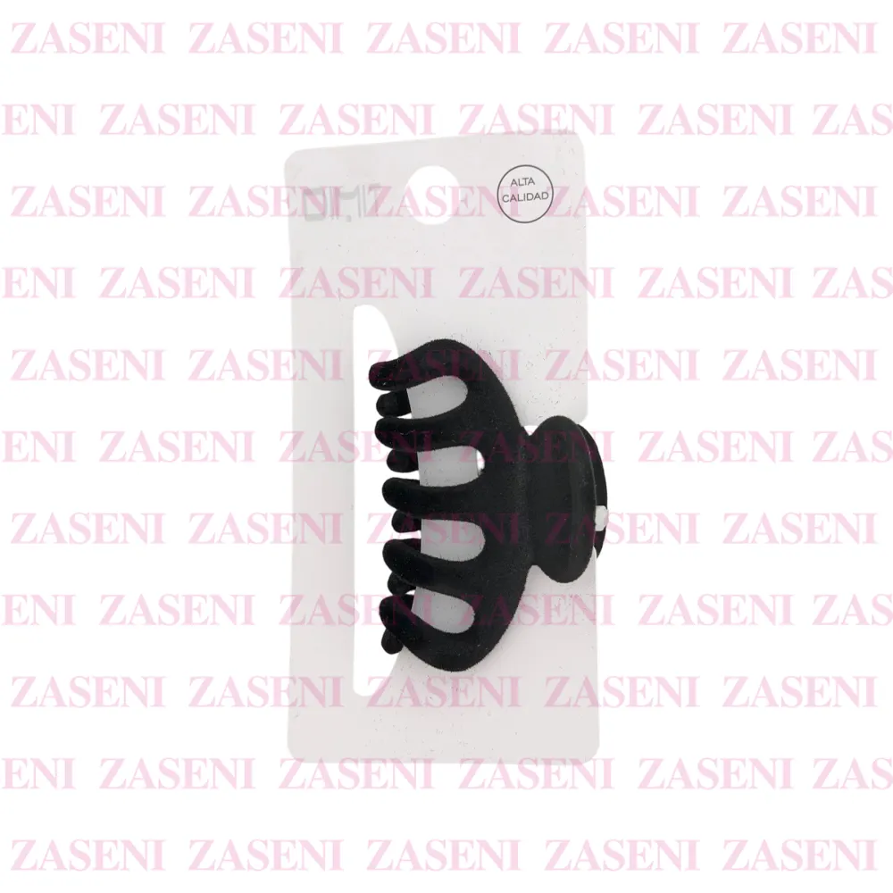 ZASENI