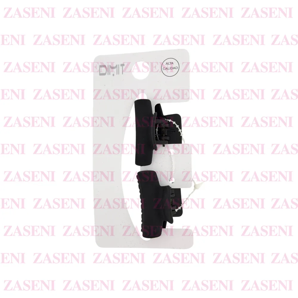 ZASENI