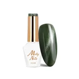 Esmalte Semipermanente Hema Free Ojo De Gato Metálico N° 213 8ml