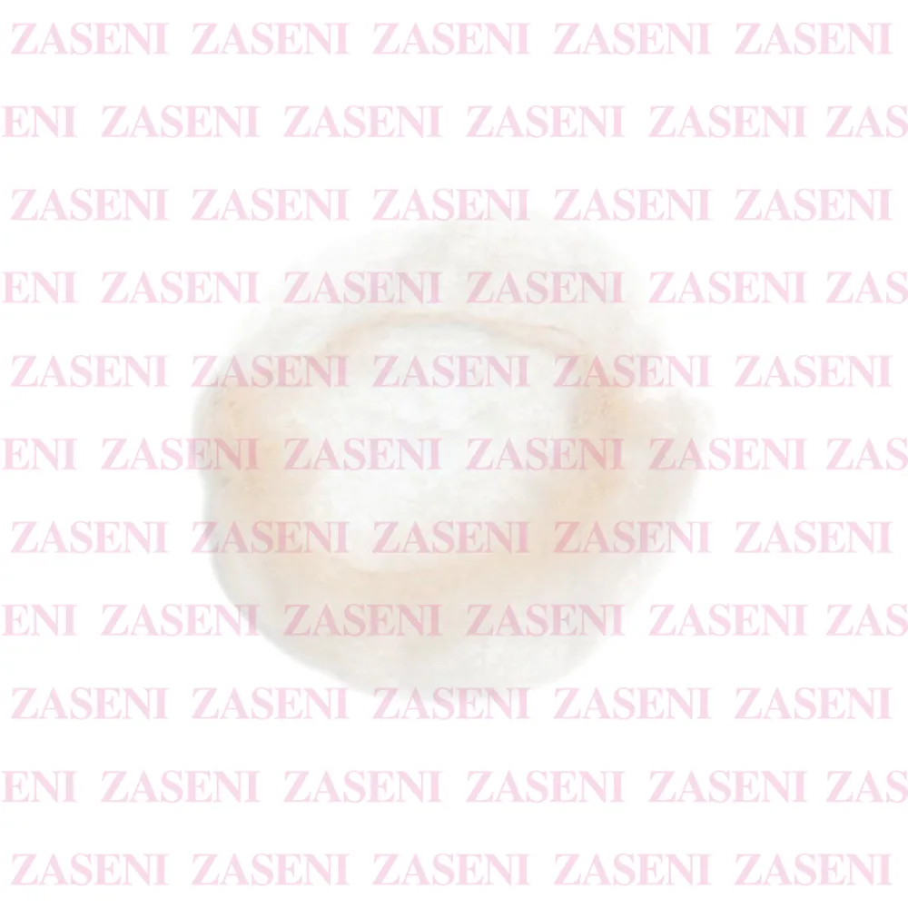 ZASENI