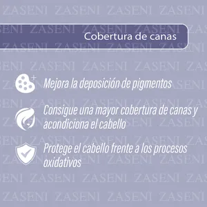 ZASENI 2