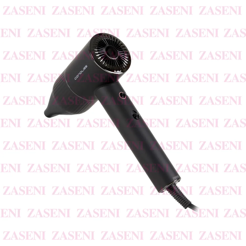 ZASENI