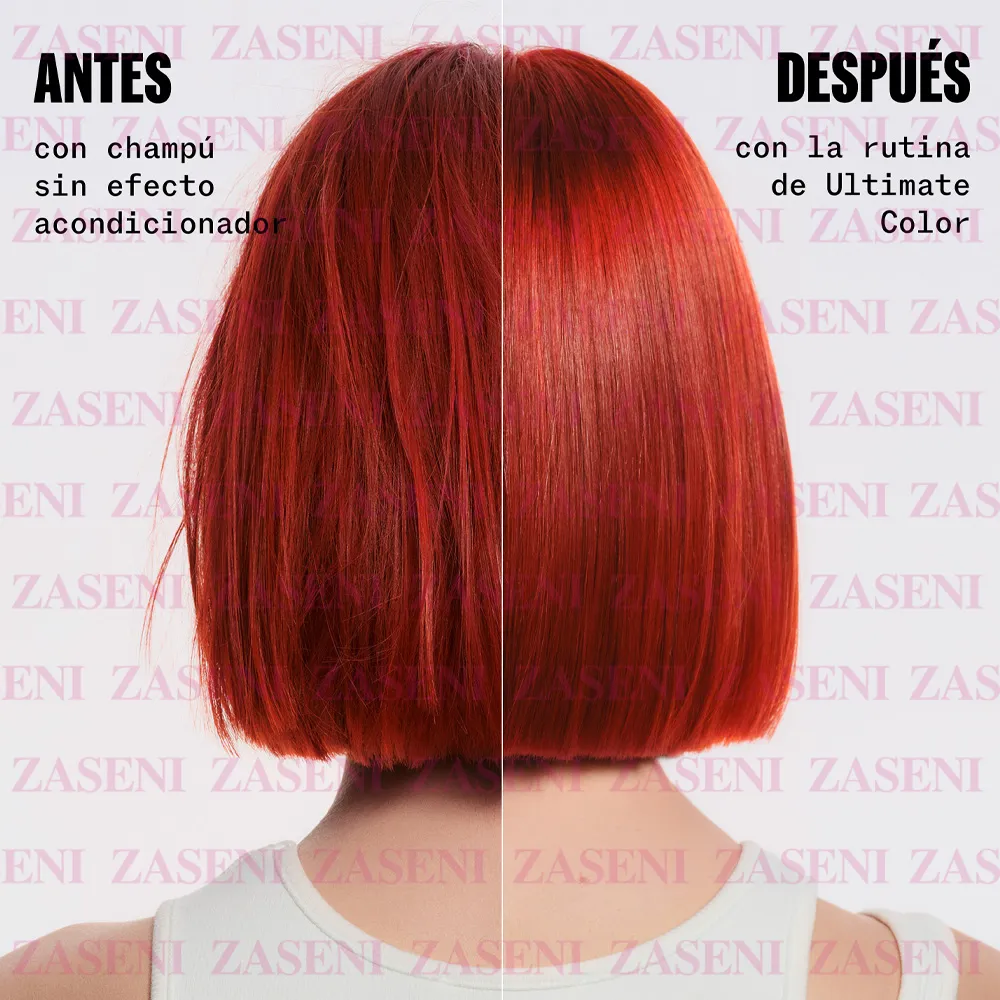 ZASENI