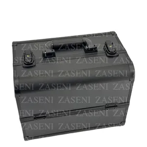 ZASENI 2